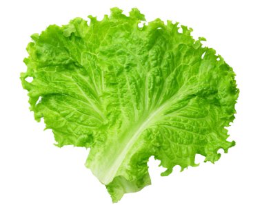 Beyaz arka planda izole edilmiş bir marul yaprağı.