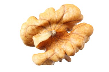 Beyaz arkaplanda izole edilmiş bir ceviz