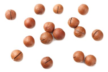 Macadamia fındığı beyaz arka planda izole edilmiş. en üstteki görünüm