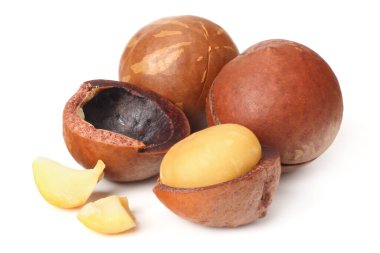 Beyaz arka planda izole edilmiş Macadamia cevizi.