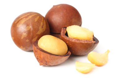 Beyaz arka planda izole edilmiş Macadamia cevizi.