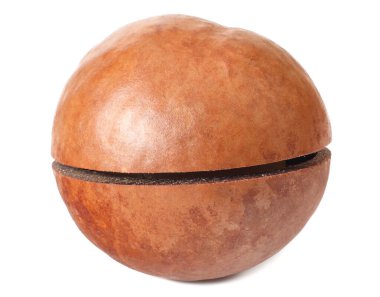 Macadamia fındığı beyaz arka planda izole edilmiş.