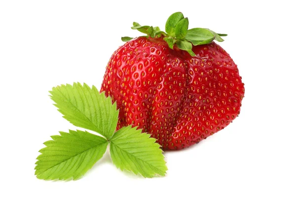 Erdbeere Mit Grünem Blatt Isoliert Auf Weißem Hintergrund Gesunde Ernährung — Stockfoto