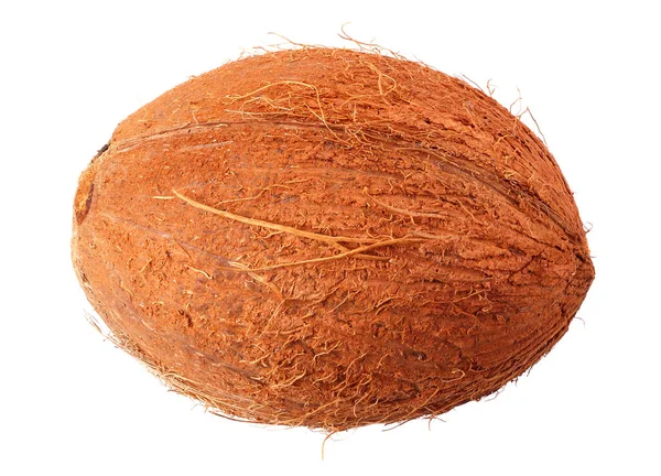 Čerstvý Kokosový Ořech Izolovaný Bílém Pozadí — Stock fotografie