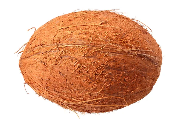 Čerstvý Kokosový Ořech Izolovaný Bílém Pozadí — Stock fotografie