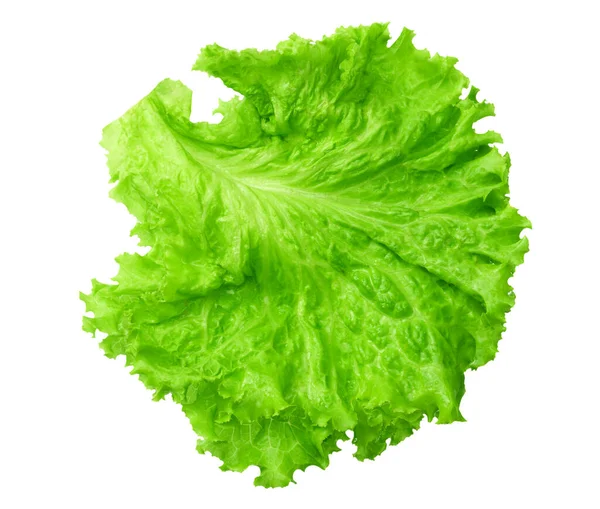 Een Salade Blad Geïsoleerd Een Witte Achtergrond — Stockfoto