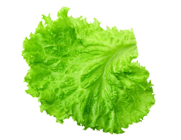 Een Salade Blad Geïsoleerd Een Witte Achtergrond — Stockfoto