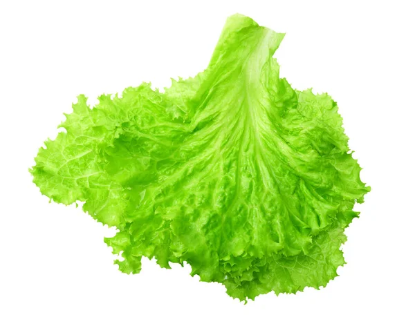 Een Salade Blad Geïsoleerd Een Witte Achtergrond — Stockfoto