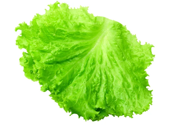 Een Salade Blad Geïsoleerd Een Witte Achtergrond — Stockfoto