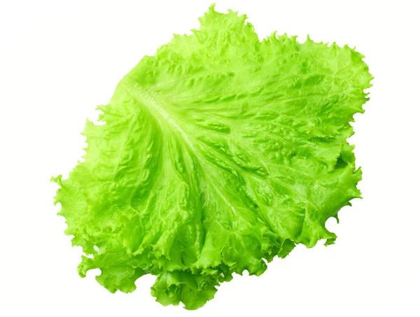 Een Salade Blad Geïsoleerd Een Witte Achtergrond — Stockfoto