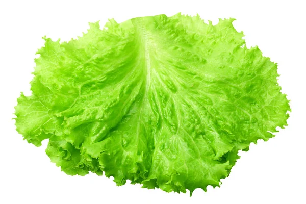 Een Salade Blad Geïsoleerd Een Witte Achtergrond — Stockfoto