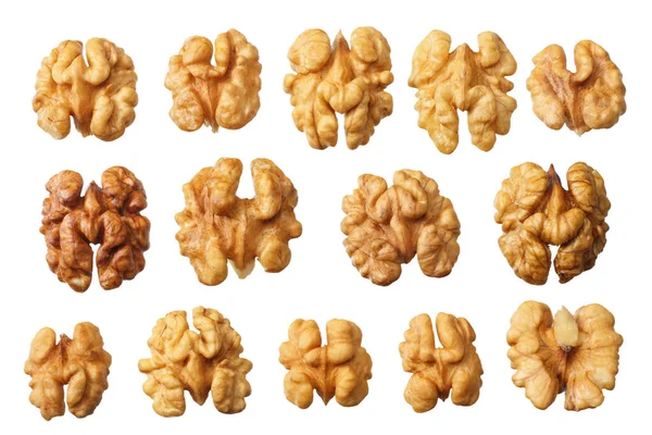 Walnuts Isolated White Background Top View — Stock Photo, Image