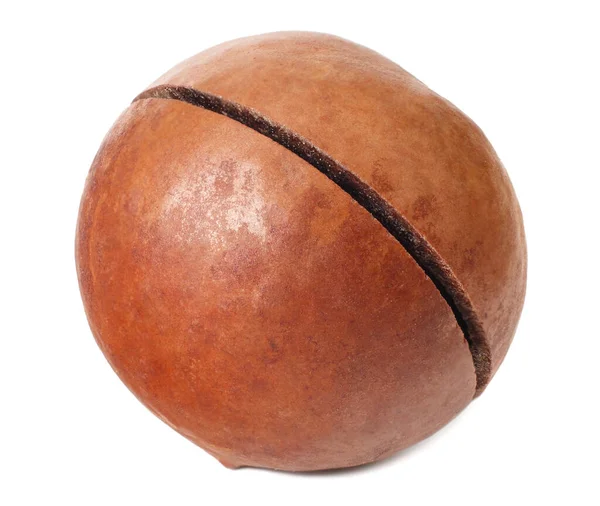 Macadamia Ořech Izolované Bílém Pozadí — Stock fotografie