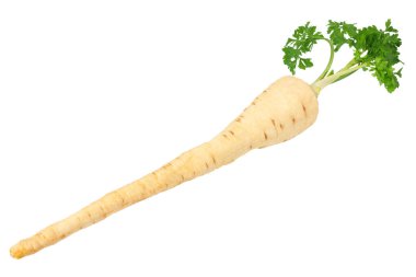 Beyaz arka plan üzerinde izole taze maydanoz kökü