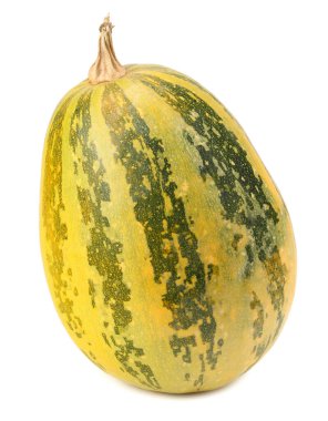 Beyaz arkaplanda kabak izole