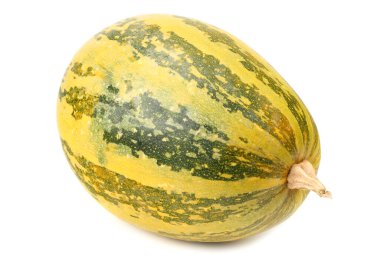 Beyaz arkaplanda kabak izole