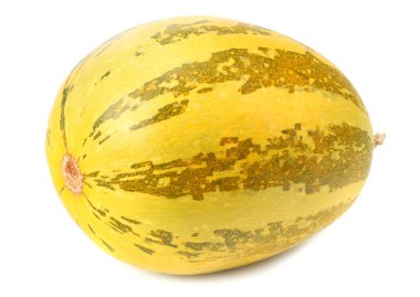 Beyaz arkaplanda kabak izole