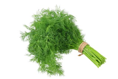 Beyaz arka planda izole edilmiş taze dereotu sürüsü