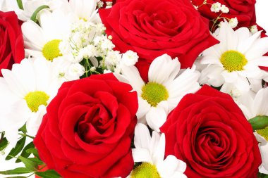 Beyaz arka planda kırmızı ve beyaz bahar çiçekleri.