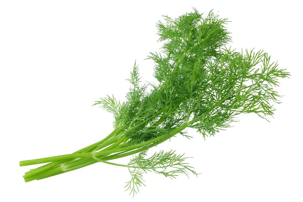 Färska Gäng Dill Isolerad Vit Bakgrund — Stockfoto