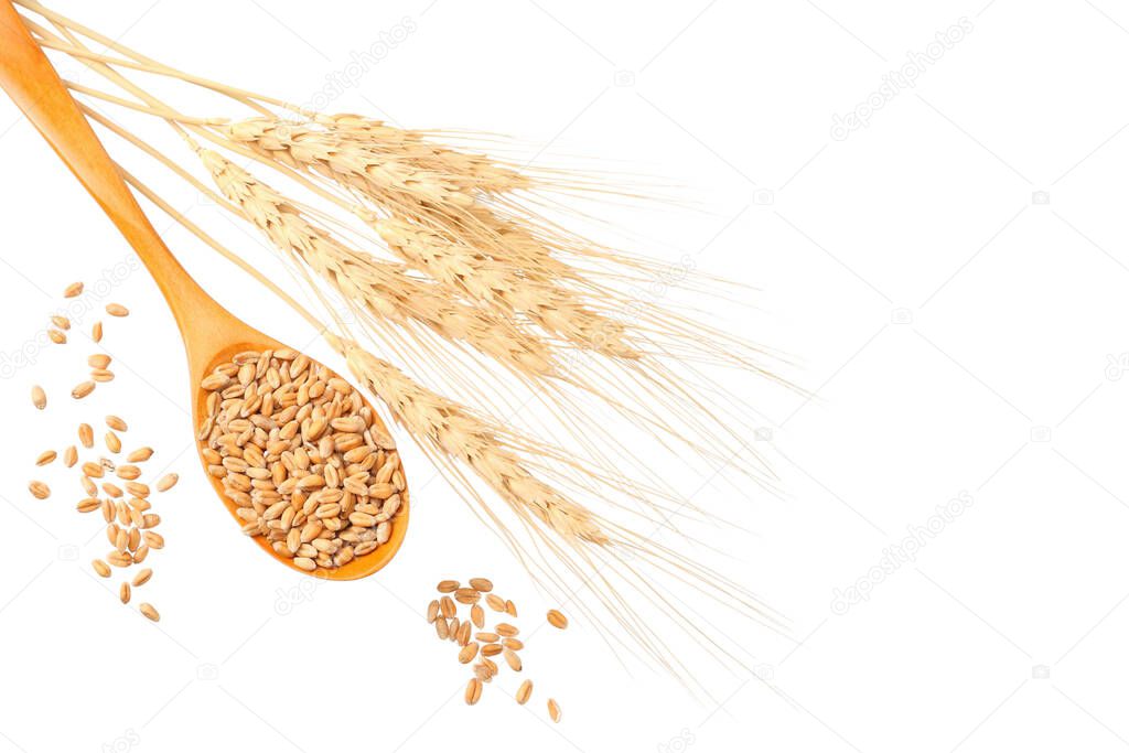 wheat spikes with wooden spoon nd wheat isolated on a white background. top view