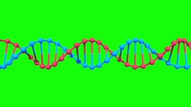 Yeşil ekranda dönen DNA, kroma anahtarı, Döngülü Canlandırma, 3B Hazırlama