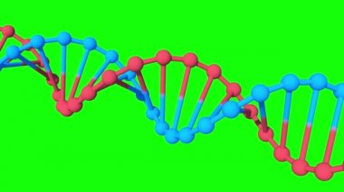 Yeşil ekranda dönen DNA, kroma anahtarı, Döngülü Canlandırma, 3B Hazırlama