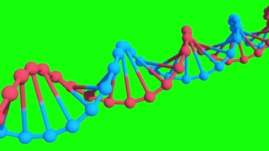 Yeşil ekranda dönen DNA, kroma anahtarı, Döngülü Canlandırma, 3B Hazırlama