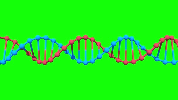 Rotating Dna Green Screen Chroma Key Looped Animation Rendering — Stock Video