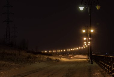 Siyah arkaplanda yeşil gül