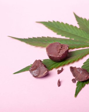 Çikolata şekerler ve pembe arka planda bir yaprak marihuana. Haşhaş yağı eklenmiş tatlı şekerler.