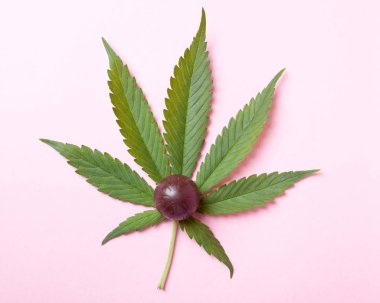 Marihuana yaprağının üzerinde çikolata şekeri.
