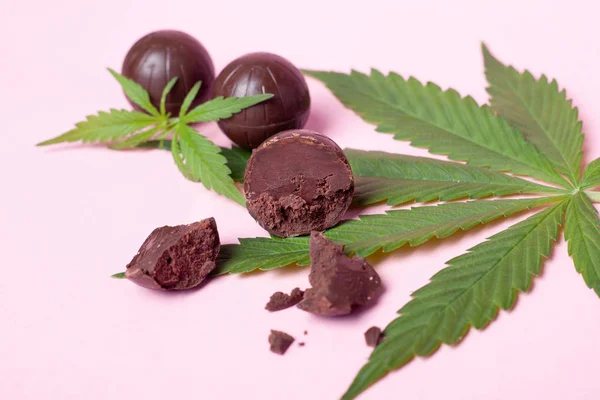 Čokoláda konopí a zelený list na růžovém pozadí.lékařské marihuany káva sladkosti pro zvýšení nálady a relaxaci — Stock fotografie