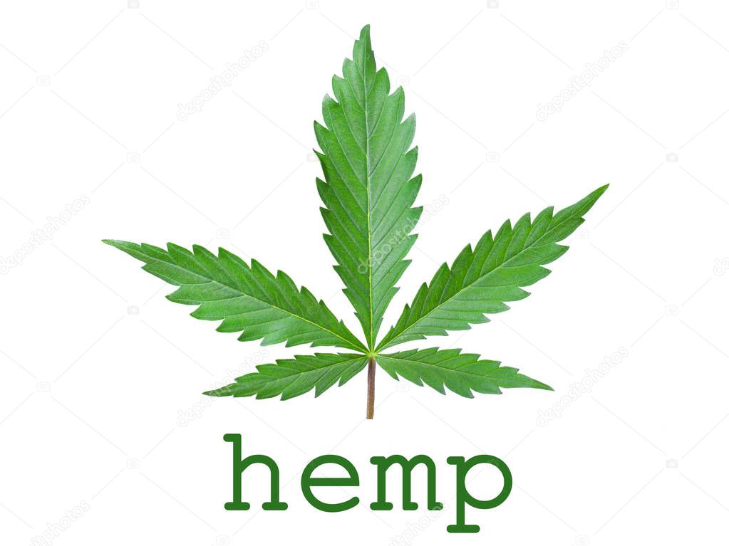 Hemp concept logo icon on white background.