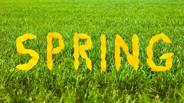 Yellow word spring on green grass background. — ストック写真