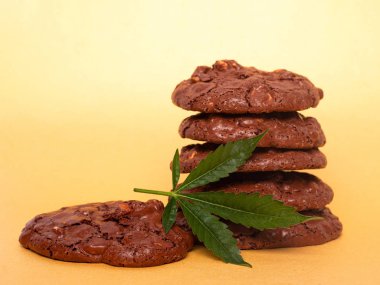Marihuana ile yenebilir kurabiyeler. Kenevir yaprağı ve çikolata parçalı kurabiyeler. Eğlence amaçlı uyuşturucu içeren yiyecek