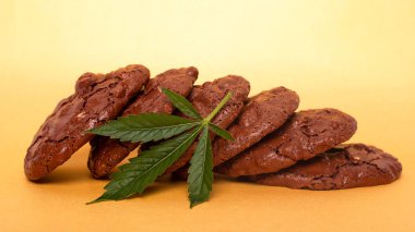 Marihuana ile yenebilir kurabiyeler. Kenevir yaprağı ve fındıklı çikolatalı kurabiye. Eğlence amaçlı uyuşturucu içeren yiyecek