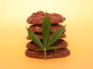 Marihuana ile yenebilir kurabiyeler. Kenevir yaprağı ve çikolata parçalı kurabiyeler. Eğlence amaçlı uyuşturucu içeren yiyecek