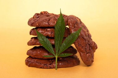 Tıbbi marihuana ve esrar içeren kurabiyeler..