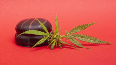Çikolatalı marşmelov ve kırmızı arka planda kenevir yaprağı.