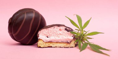 chocolate edible sweets and medical medicinal cannabis. chocolate to relieve stress with marijuana on a pink background clipart