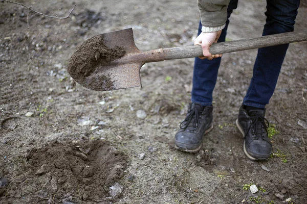 De mens graaft grond voor het planten van bomen. tuinier graven — Stockfoto