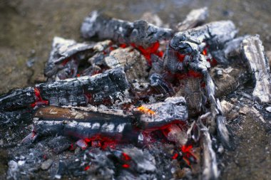 charred charcoal. dying bonfire in the ashes