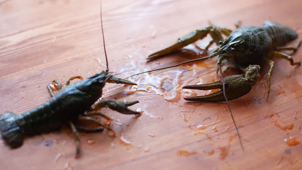 Batalha de lagostins vivos em uma mesa de madeira — Fotografia de Stock