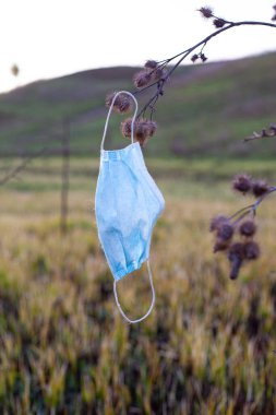 Tıbbi maskeli çevre kirliliği, ağaçlarda kullanılan maskeler 