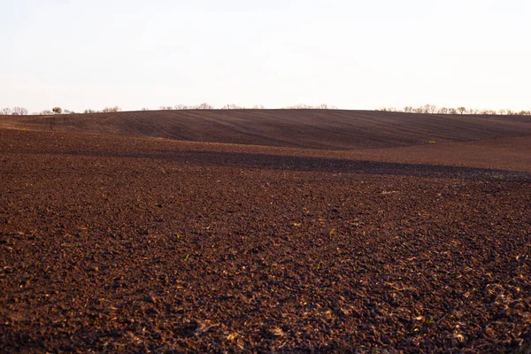 Pemandangan lapangan berbukit coklat, pertanian musim semi — Stok Foto