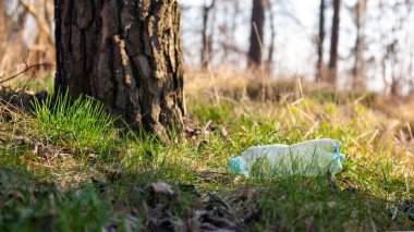 plastic bottle lies on the grass under a tree in the forest in the rays of sunlight close-up.  clipart
