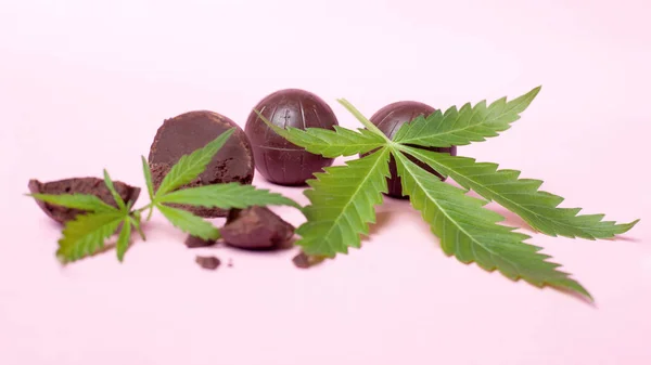 Čokoláda konopí a zelený list na růžovém pozadí.lékařské marihuany káva sladkosti pro zvýšení nálady a relaxaci — Stock fotografie
