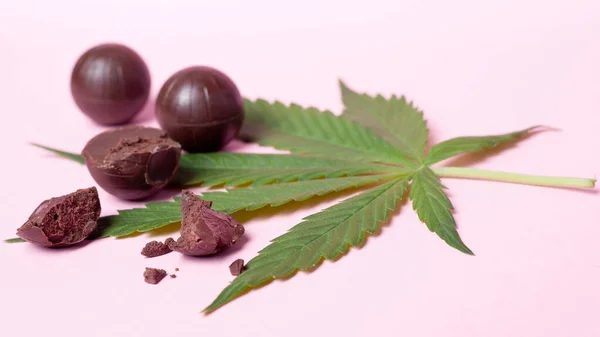 Čokoládové bonbóny s obsahem THC na růžovém pozadí. marihuana jídlo, rekreační měkké drogy — Stock fotografie