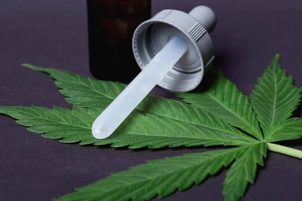 Concepto de cannabis medicinal, hoja verde marihuana y una pipeta con extracto de THC — Foto de Stock